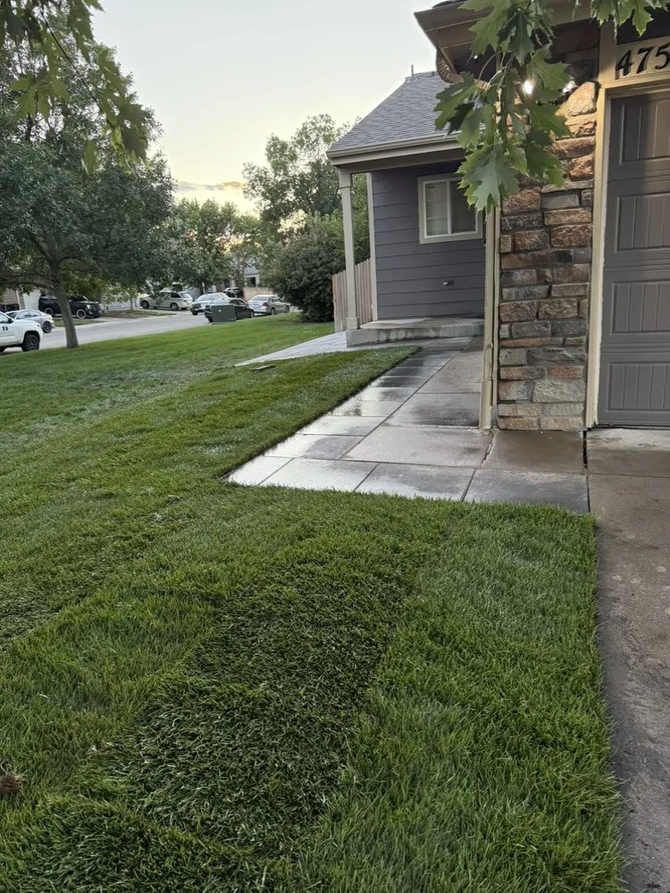 Expert yard cleanup service in Denver, CO by LC Evergreen Landscaping