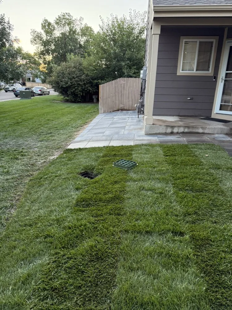 Local lawn care service for beautiful yards in Denver, CO by LC Evergreen Landscaping