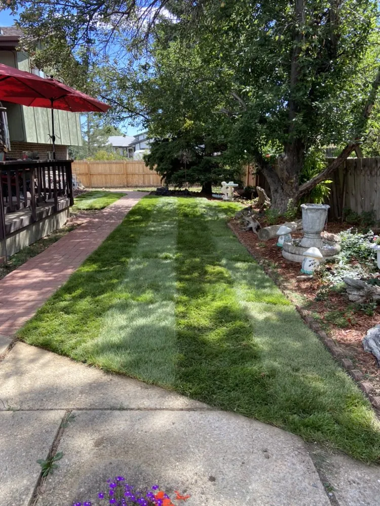 Custom lawn mowing service in Denver, CO - LC Evergreen Landscaping