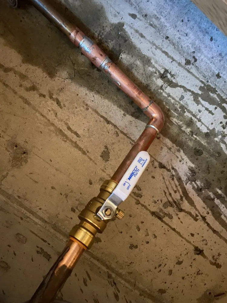 Top-rated landscape design with custom design across Denver, CO - LC Evergreen Landscaping