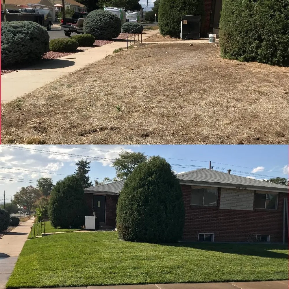 Affordable lawn care service in Denver, CO by LC Evergreen Landscaping