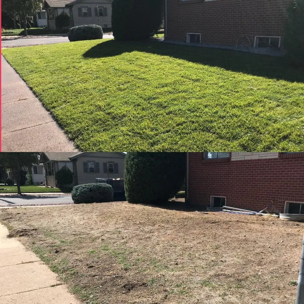 Affordable outdoor landscaping in Denver, CO by LC Evergreen Landscaping