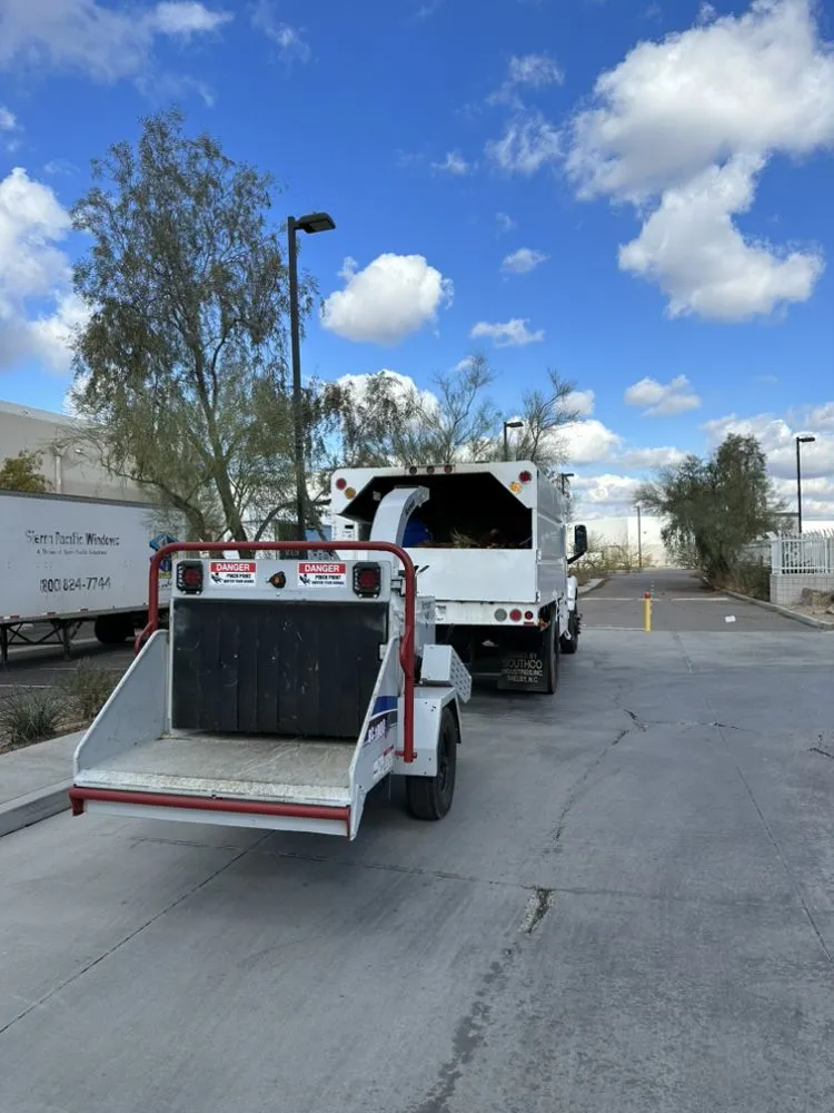 Professional landscaping services in Phoenix, AZ by Lc Garden And More