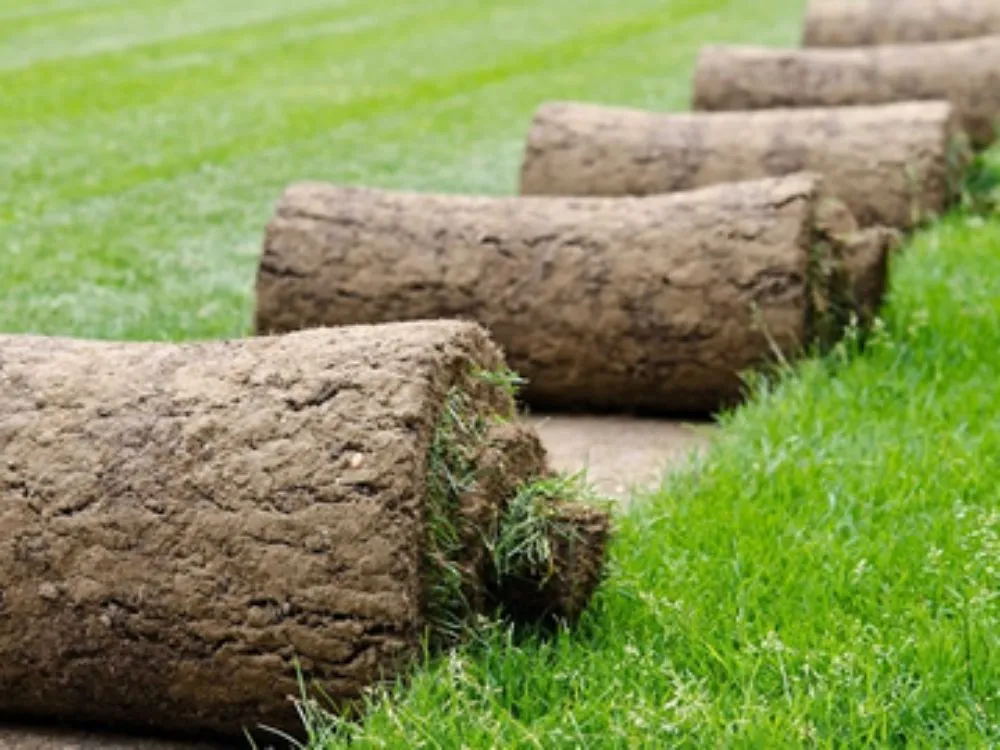 Local garden landscaping in Denver, CO by L.C Landscape and Irrigation