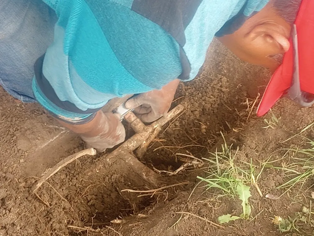 Top-rated outdoor landscaping in Denver, CO by L.C Landscape and Irrigation