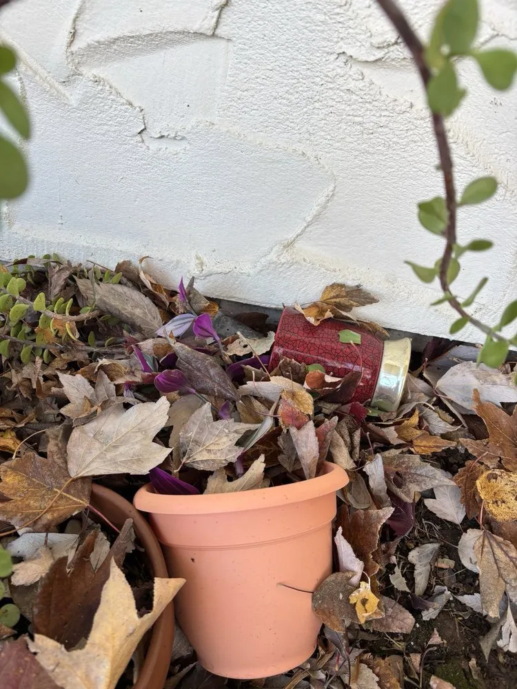 Top-rated outdoor landscaping for beautiful yards in Chico, CA by L&C Landscape