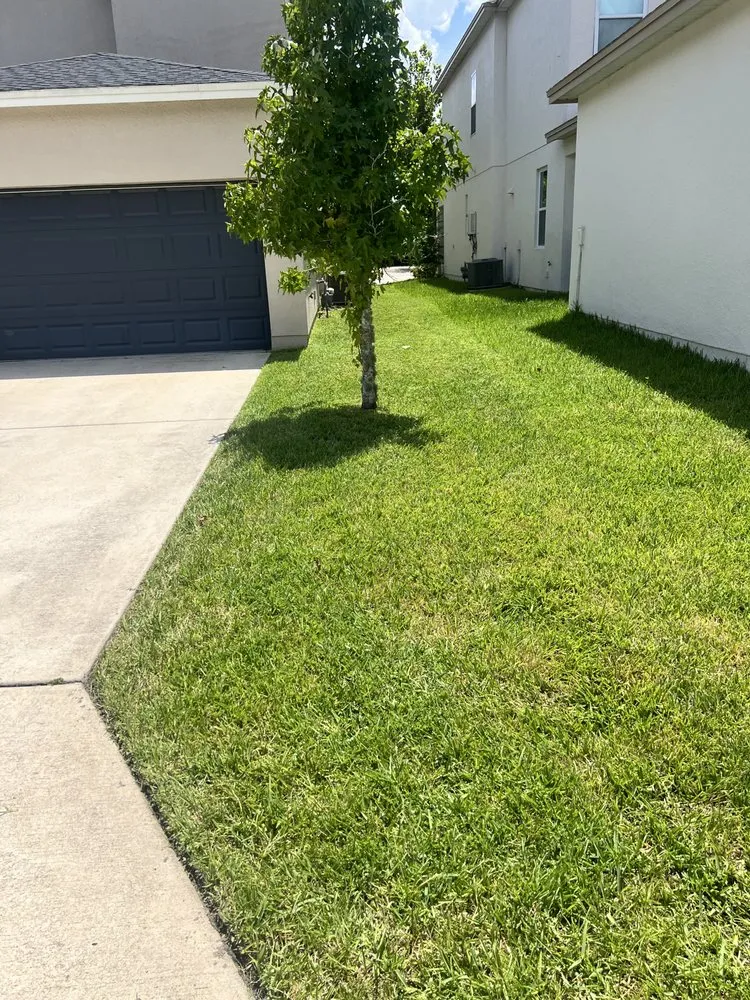 Professional landscape installation in Orlando, FL - L&C Landscaping Services