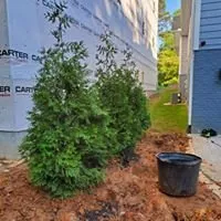 Affordable landscaping services experts serving Statesville, NC - L&C Landscaping