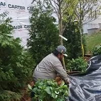 Custom outdoor landscaping for year-round maintenance across Statesville, NC - L&C Landscaping