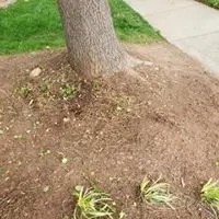 Custom lawn care service for beautiful yards in Statesville, NC by L&C Landscaping