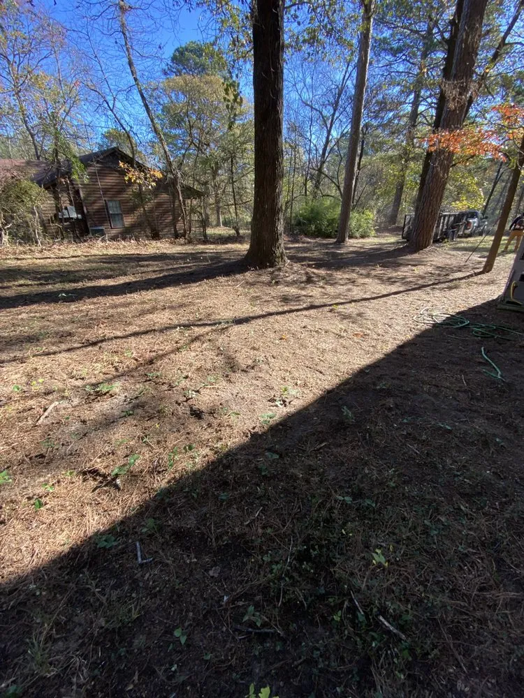 Local outdoor landscaping in Little Rock, AR by Lc lawn and landscape