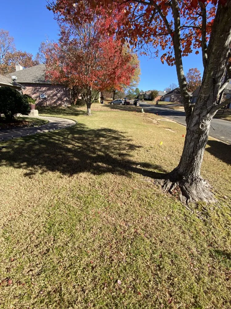 Top-rated residential landscaping experts serving Little Rock, AR - Lc lawn and landscape