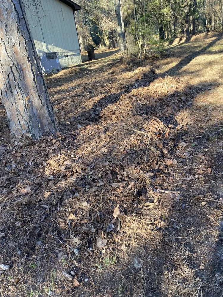 Affordable yard cleanup service for residential properties across Little Rock, AR - Lc lawn and landscape