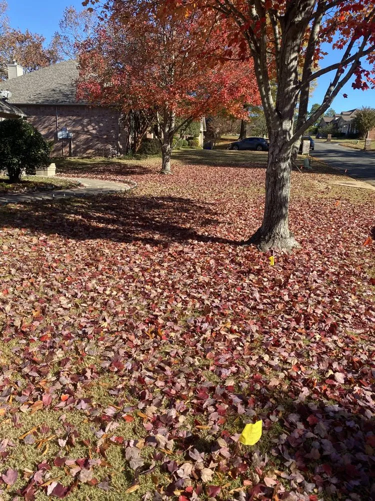 Top-rated landscape design experts serving Little Rock, AR - Lc lawn and landscape