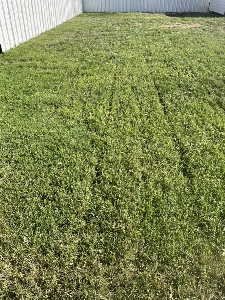 Professional landscaping services near you across Anton, TX - L&C Lawn Care