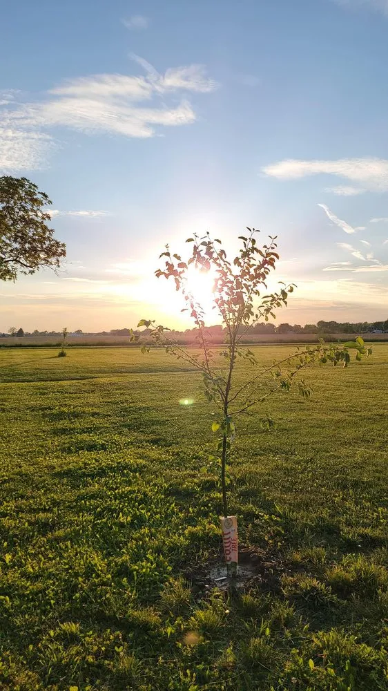 Local lawn mowing service for homes in New Ross, IN by L&C Lawn Care