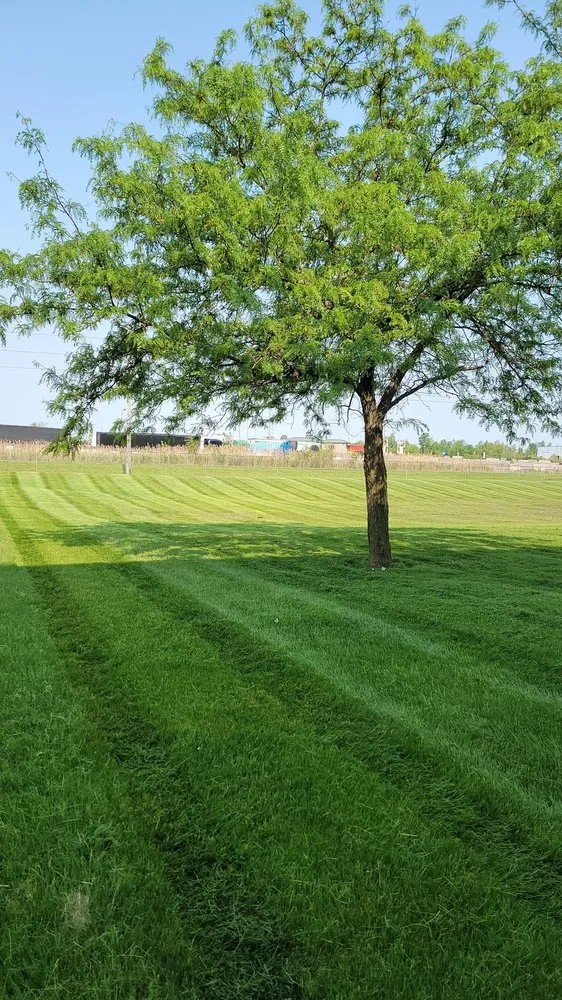 Affordable landscaping services experts serving New Ross, IN - L&C Lawn Care