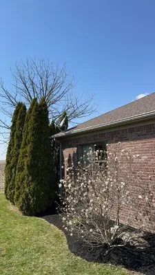 L&C Lawn Care