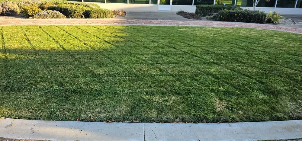 Affordable lawn mowing service in Salinas, CA by L&C Lawn Care