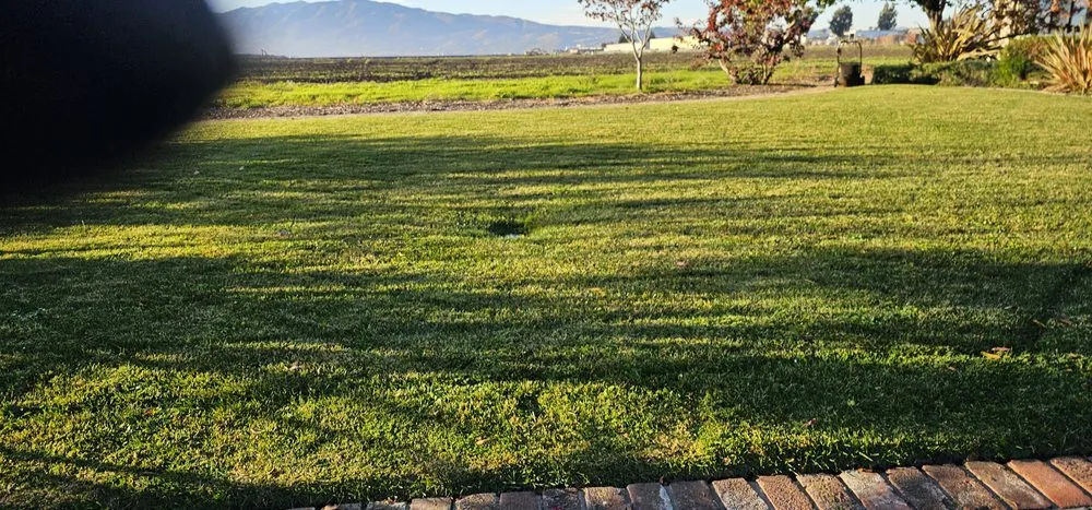 Custom outdoor landscaping in Salinas, CA by L&C Lawn Care