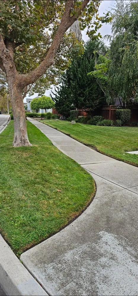 Top-rated garden landscaping for beautiful yards in Salinas, CA by L&C Lawn Care