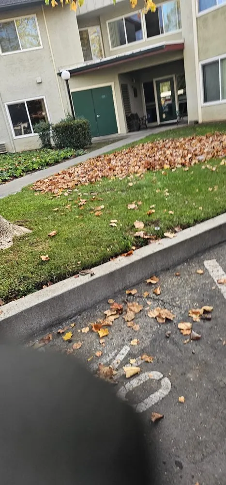 Reliable outdoor landscaping in Salinas, CA by L&C Lawn Care