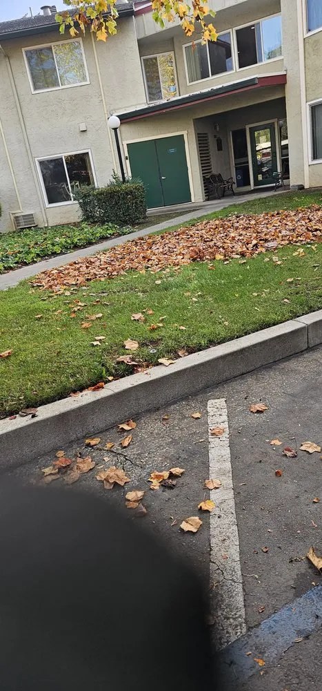 Reliable yard maintenance experts serving Salinas, CA - L&C Lawn Care