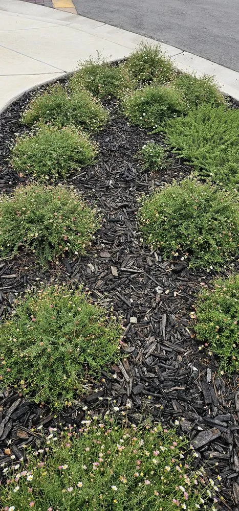 Custom outdoor landscaping for beautiful yards in Salinas, CA by L&C Lawn Care