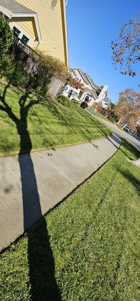 Expert outdoor landscaping in Salinas, CA by L&C Lawn Care