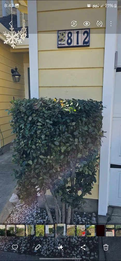 Professional landscape design for residential properties across Salinas, CA - L&C Lawn Care