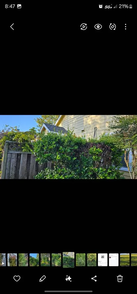 Expert outdoor landscaping experts serving Salinas, CA - L&C Lawn Care