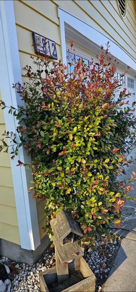 Custom outdoor landscaping experts serving Salinas, CA - L&C Lawn Care