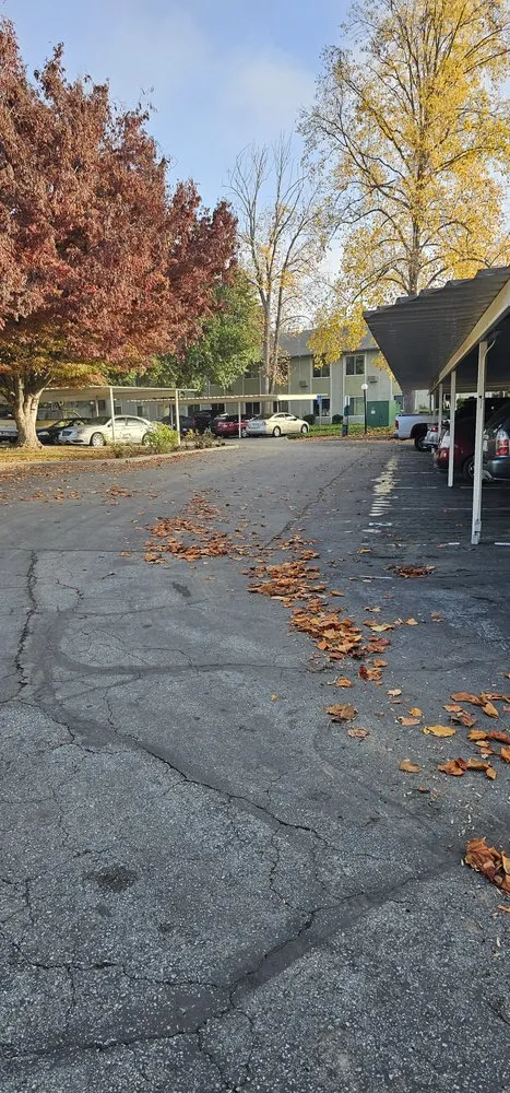 Professional lawn mowing service in Salinas, CA - L&C Lawn Care