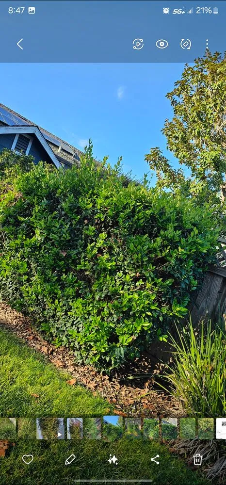 Affordable lawn mowing service in Salinas, CA - L&C Lawn Care