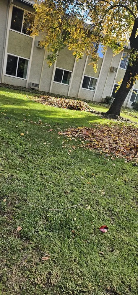 Affordable landscape design for outdoor upgrades in Salinas, CA by L&C Lawn Care