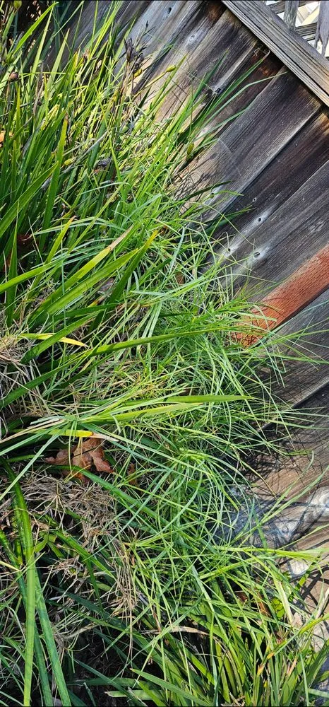 Trusted landscape installation experts serving Salinas, CA - L&C Lawn Care