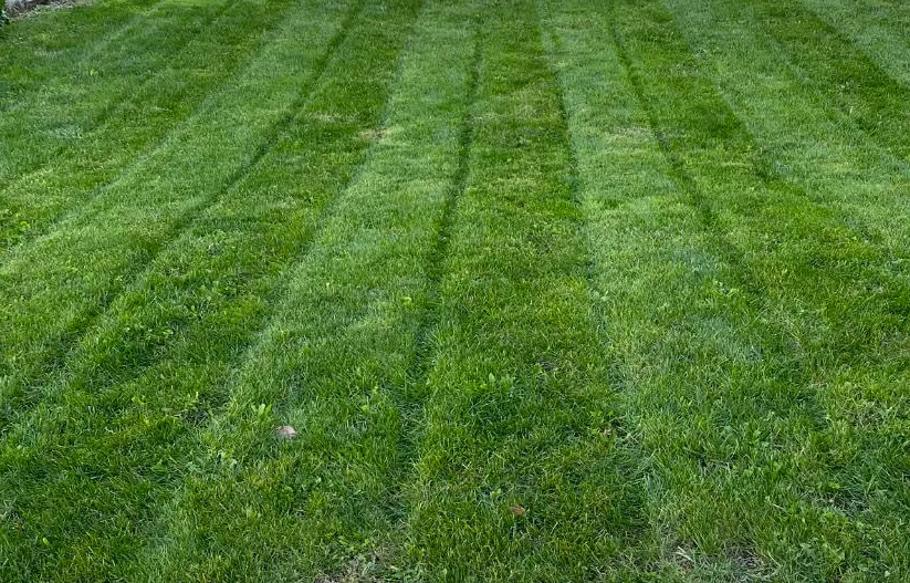 Custom landscape design in Claypool, IN by LC Lawn Services