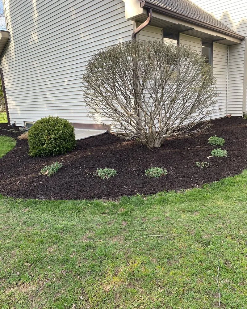 Expert yard cleanup service in Claypool, IN by LC Lawn Services