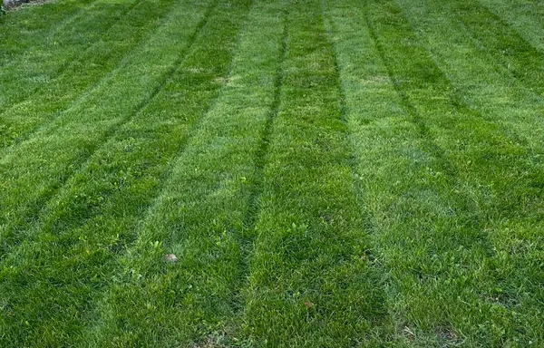 LC Lawn Services Logo