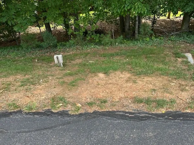 Expert landscape design for residential properties across Charlottesville, VA - LC Marshall & Sons