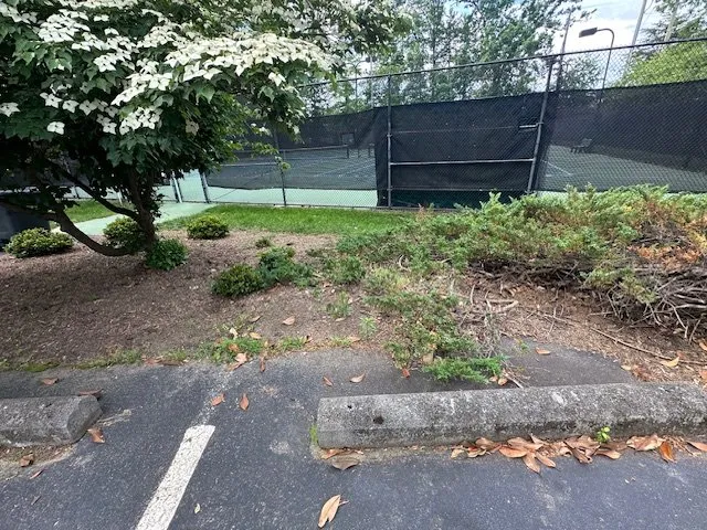 Expert outdoor landscaping for residential properties in Charlottesville, VA by LC Marshall & Sons