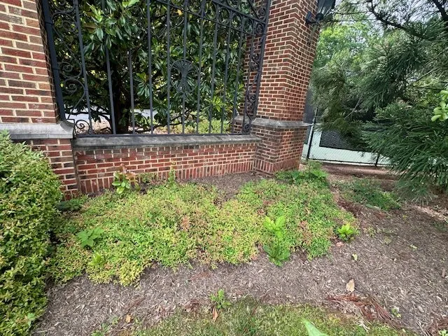 Top-rated landscaping services experts serving Charlottesville, VA - LC Marshall & Sons