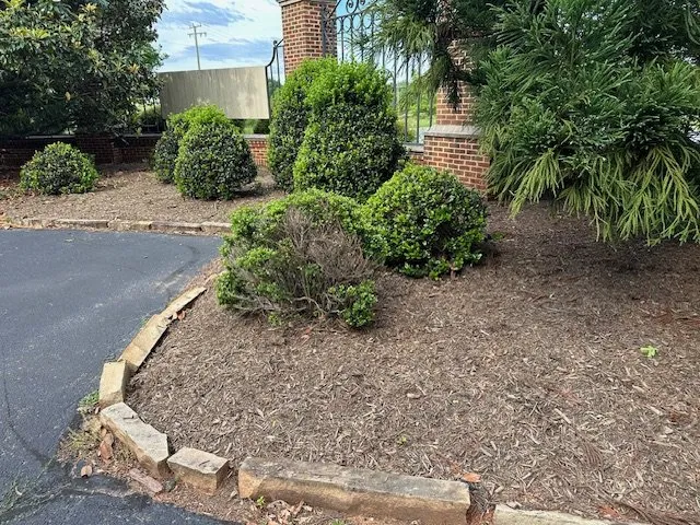 Professional yard cleanup service for beautiful yards across Charlottesville, VA - LC Marshall & Sons