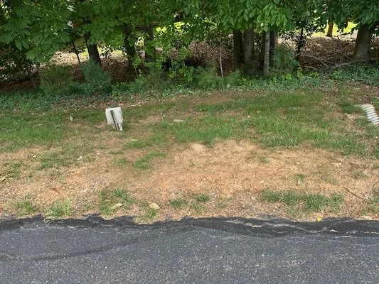 LC Marshall & Sons Logo