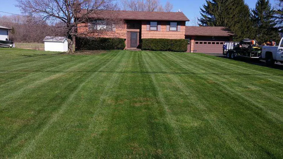 Expert residential landscaping for beautiful yards in Brockport, NY by LC Property Maintenance & Landscape