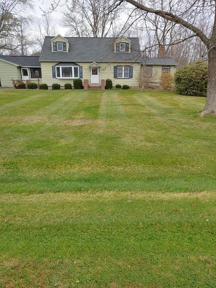 Expert yard maintenance experts serving Brockport, NY - LC Property Maintenance & Landscape