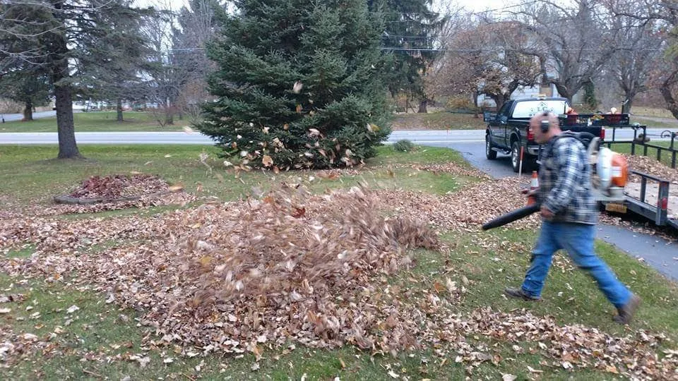 Professional lawn care service for residential properties across Brockport, NY - LC Property Maintenance & Landscape