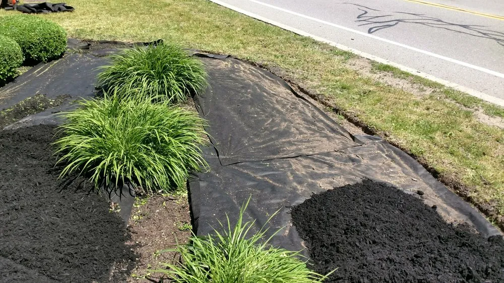 Expert yard cleanup service near you in Brockport, NY by LC Property Maintenance & Landscape