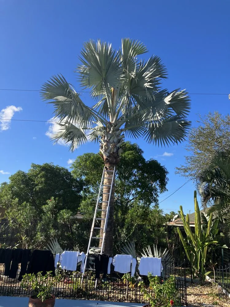 Trusted landscape installation for year-round maintenance across Port St. Lucie, FL - LC Property Management Treasure Coast