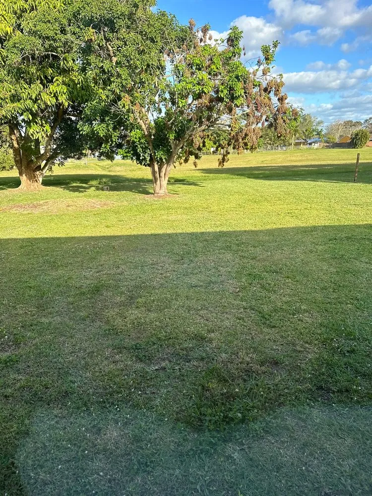 Professional outdoor landscaping experts serving Port St. Lucie, FL - LC Property Management Treasure Coast